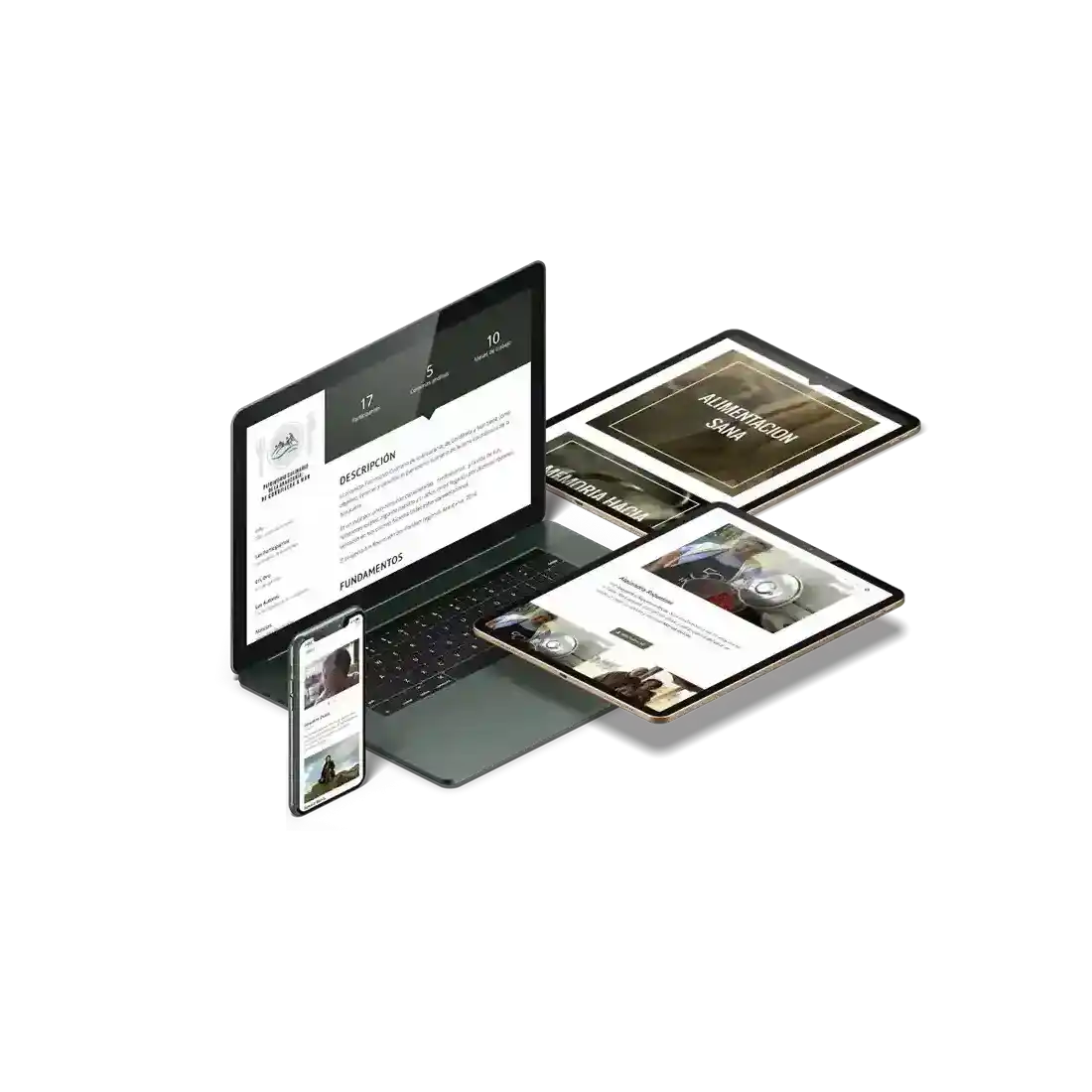 Varias vistas del sitio web en notebook, dispositivos móviles y tabletas.